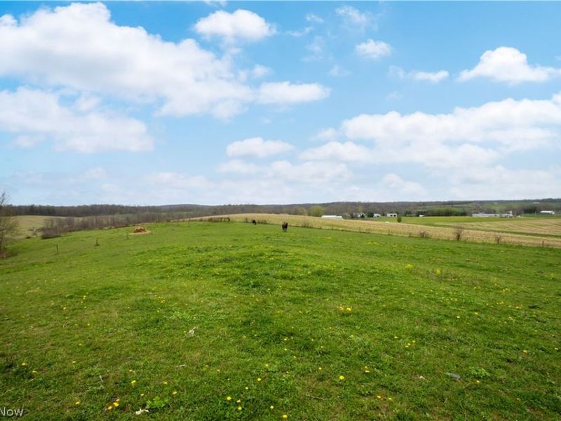 14072 Baddow Pass Road, Brinkhaven, OH 44611 Photo 46