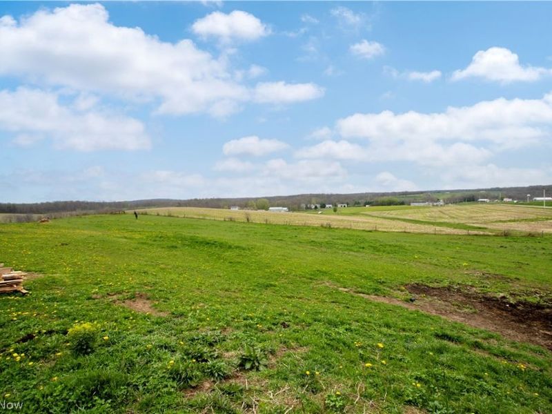 14072 Baddow Pass Road, Brinkhaven, OH 44611 Photo 47