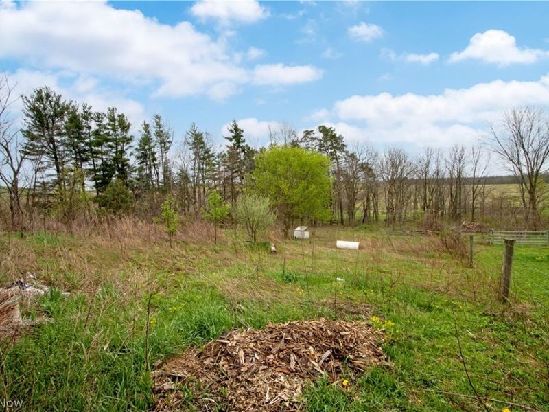 14072 Baddow Pass Road, Brinkhaven, OH 44611 Photo 48