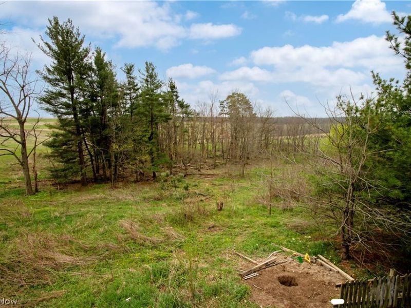 14072 Baddow Pass Road, Brinkhaven, OH 44611 Photo 49