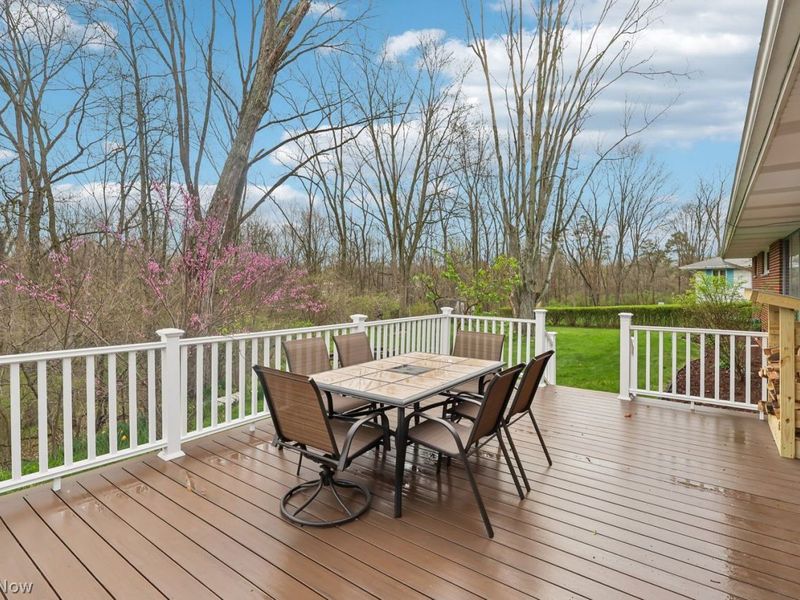 82 Squires Court , Medina, OH 44256 Photo 42