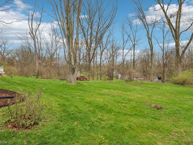 82 Squires Court , Medina, OH 44256 Photo 44