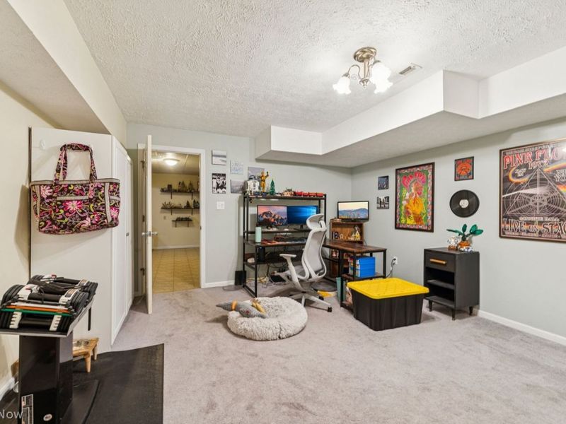 670 Hickory Hill Court, Streetsboro, OH 44241 Photo 38