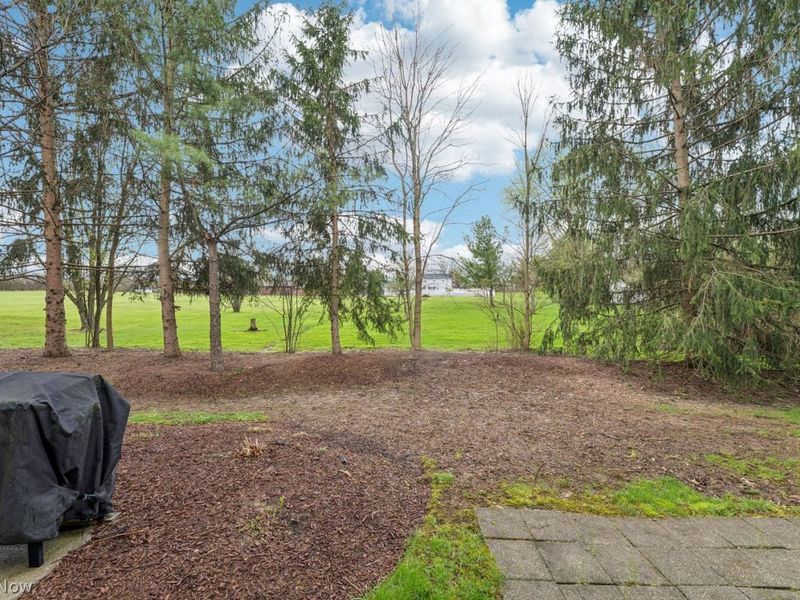 670 Hickory Hill Court, Streetsboro, OH 44241 Photo 45