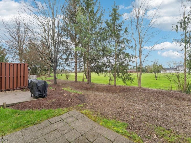 670 Hickory Hill Court, Streetsboro, OH 44241 Photo 46
