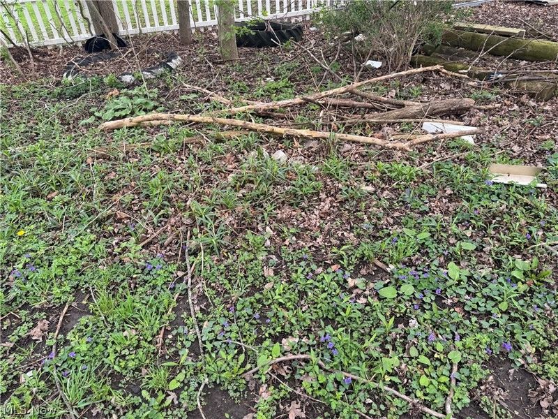 159 New London Avenue , New London, OH 44851 Photo 13