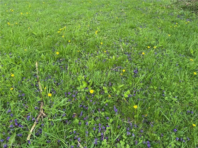 159 New London Avenue , New London, OH 44851 Photo 15