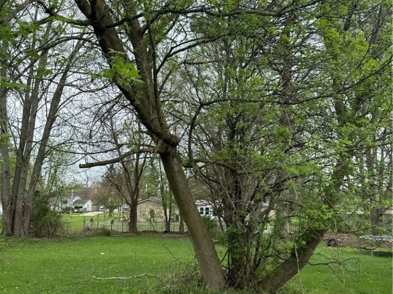 159 New London Avenue , New London, OH 44851 Photo 16