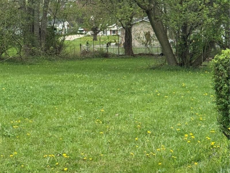 159 New London Avenue , New London, OH 44851 Photo 5