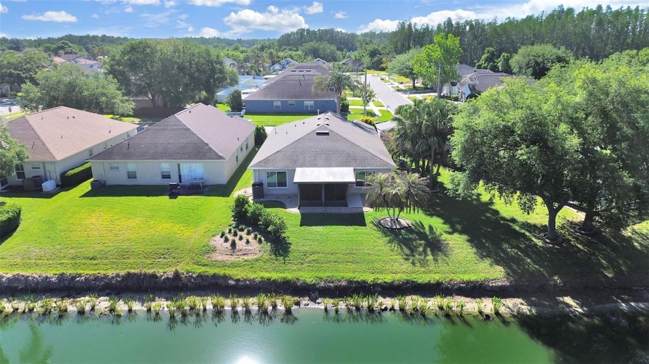 30612 Nickerson Loop, Wesley Chapel, FL 33543 Photo