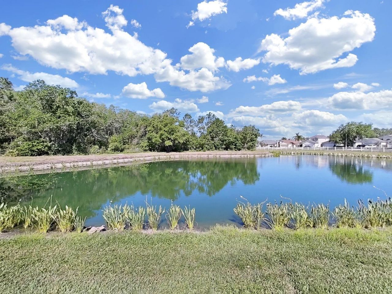 30612 Nickerson Loop, Wesley Chapel, FL 33543 Photo