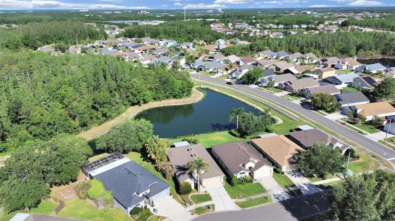 30612 Nickerson Loop, Wesley Chapel, FL 33543 Photo