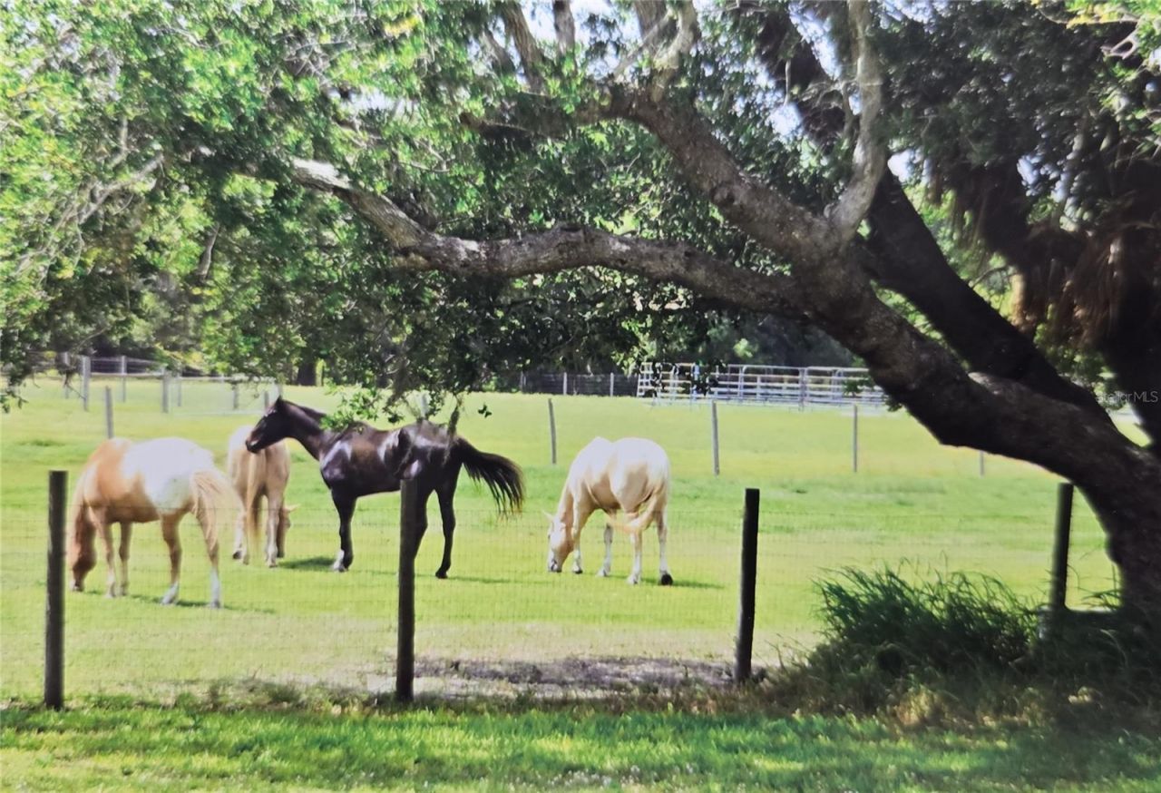 7662 SW Liverpool Road , Arcadia, FL 34269 Photo