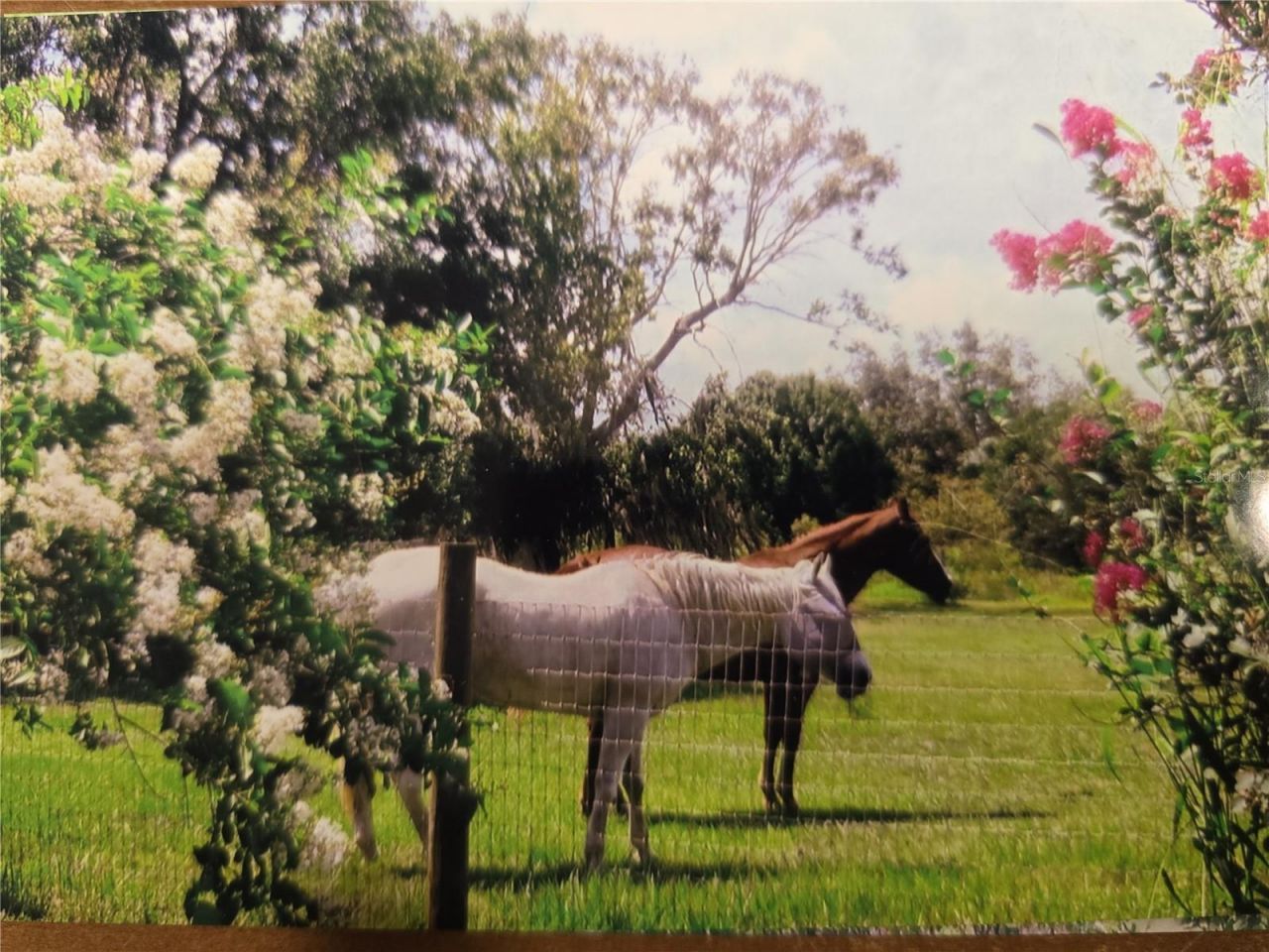 7662 SW Liverpool Road , Arcadia, FL 34269 Photo