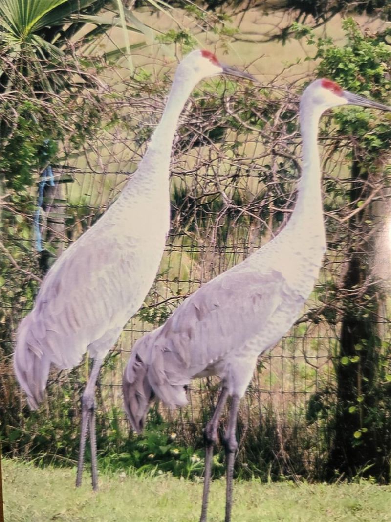 7662 SW Liverpool Road , Arcadia, FL 34269 Photo