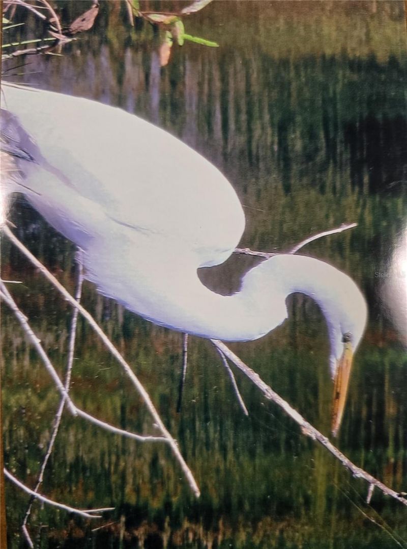 7662 SW Liverpool Road , Arcadia, FL 34269 Photo