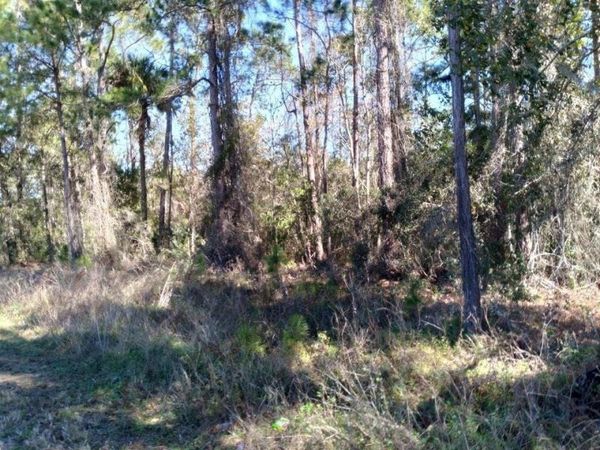 POYNER ROAD , POLK CITY, FL 33868