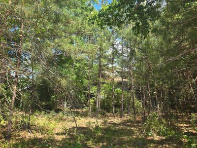 13824 Newberry Road , Blair, SC 29015