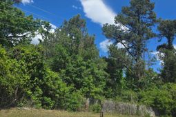 13824 Newberry Road  photo 4