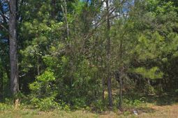 13824 Newberry Road  photo 4