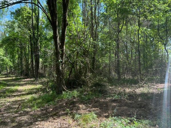 TBD Lemon B Rd, Slaughter, LA 70777