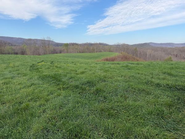 1999 Snake Run Rd, Alderson, WV 24910