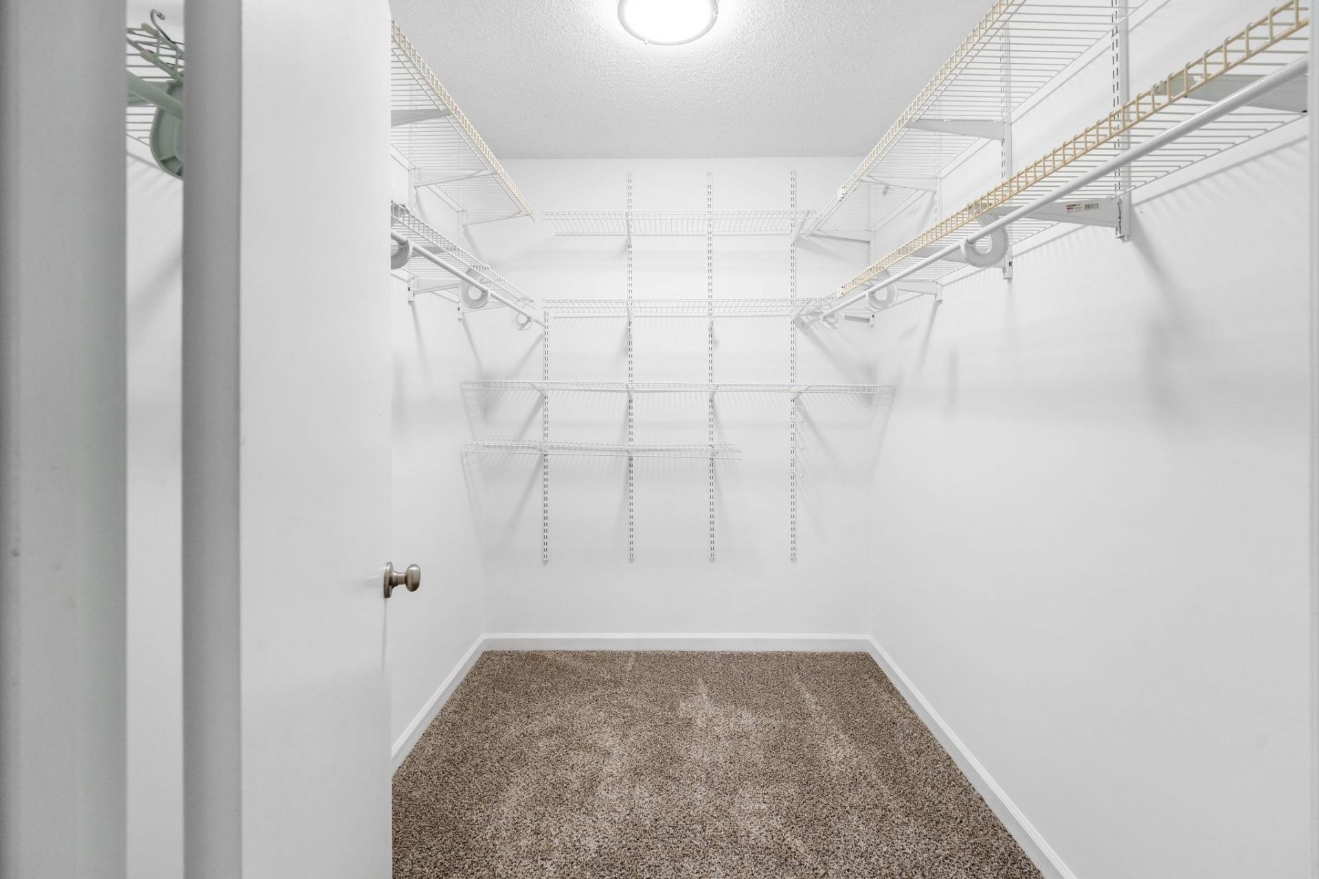 6610 Royal Pine Dr.  Photo 18