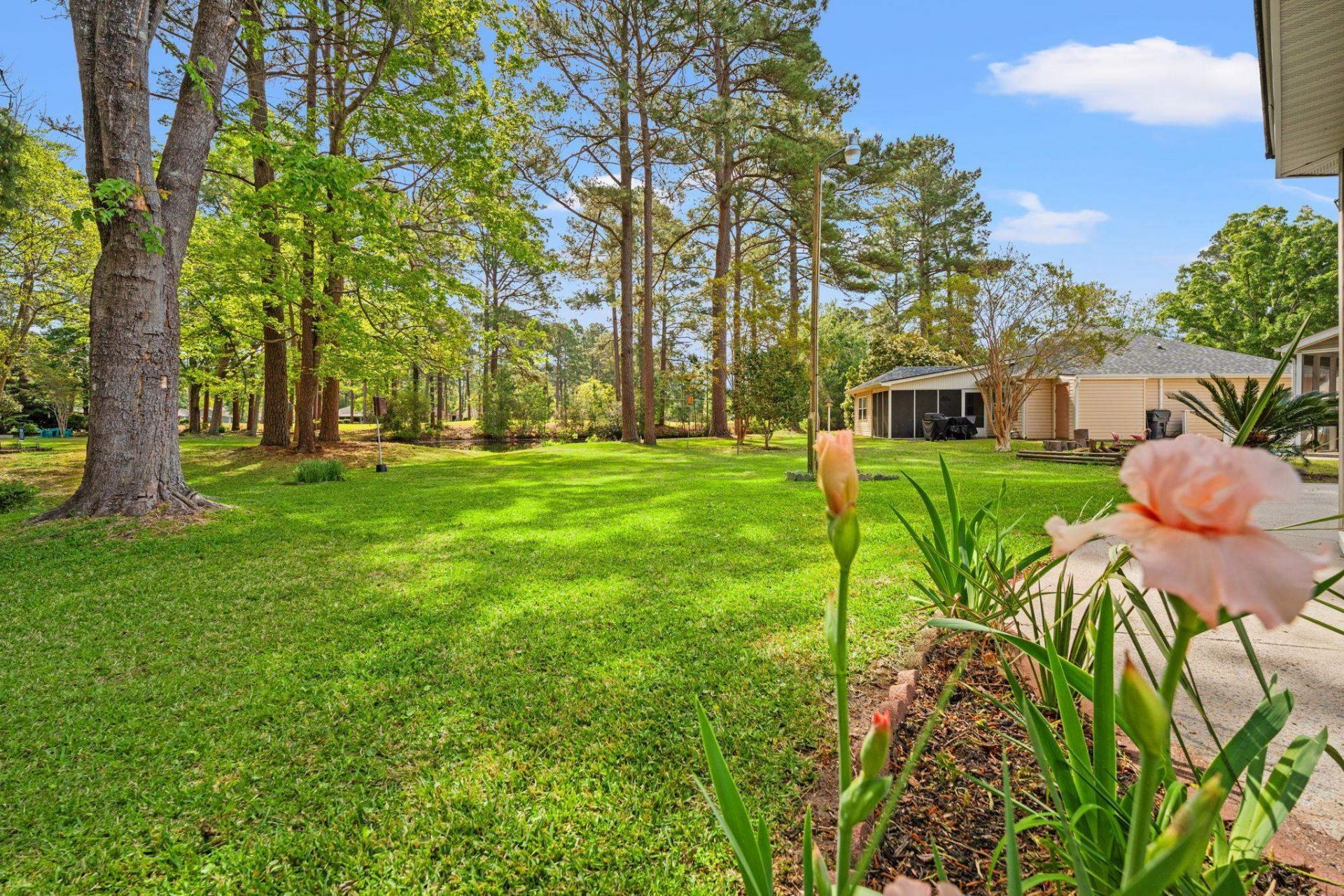 6610 Royal Pine Dr.  Photo 23