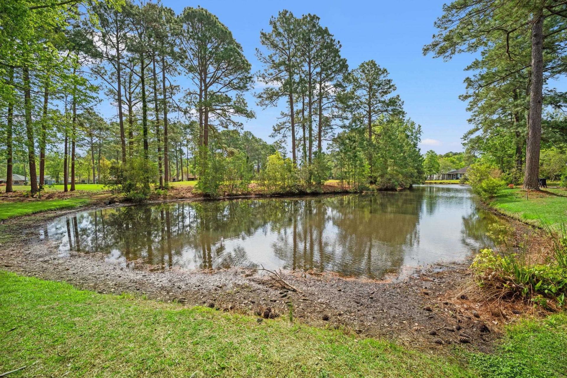 6610 Royal Pine Dr. Photo 32