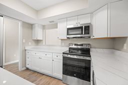 6610 Royal Pine Dr.  photo 4