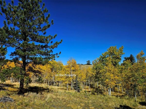 51 Singletree Lane, Hartsel, CO 80449