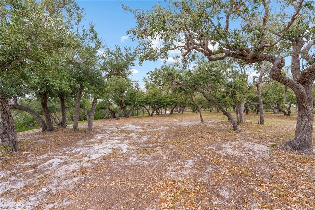 X Burgess Island , Bokeelia, FL 33922 Photo