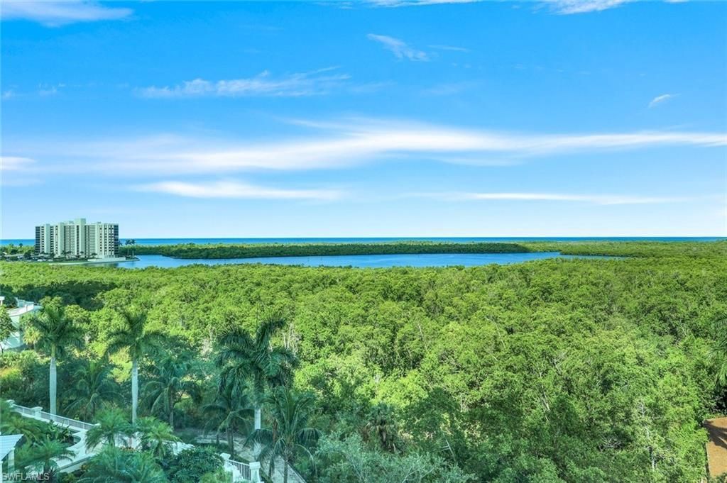 275 Indies Way, Unit 706, Naples, FL 34110 Photo
