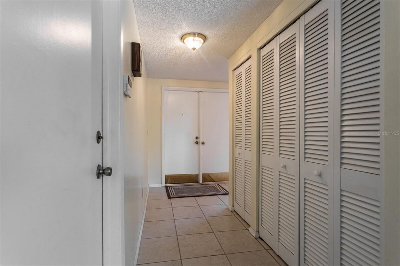 12814 Twin Branch Acres Road , Tampa, FL 33626 Photo