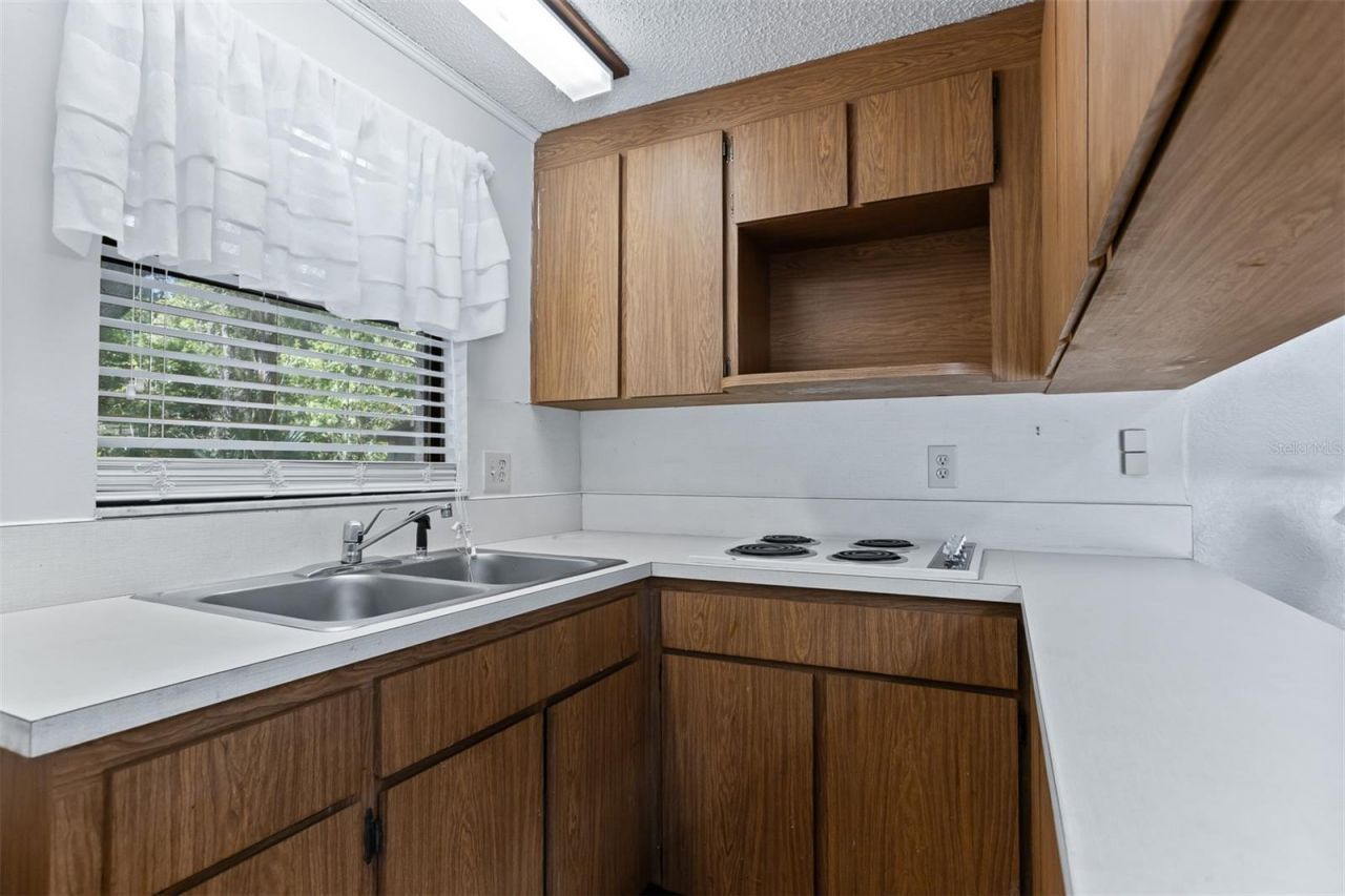 12814 Twin Branch Acres Road , Tampa, FL 33626 Photo