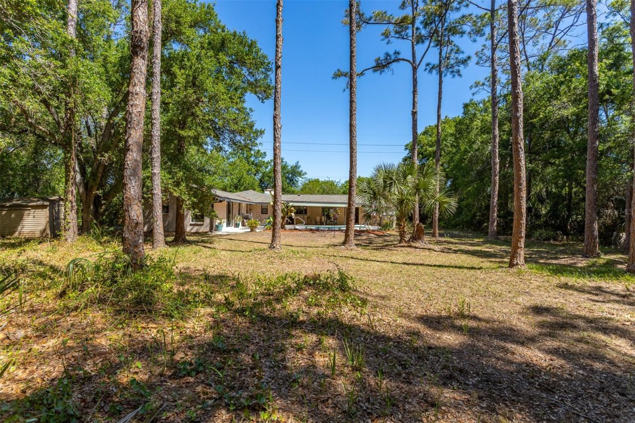 12814 Twin Branch Acres Road , Tampa, FL 33626 Photo