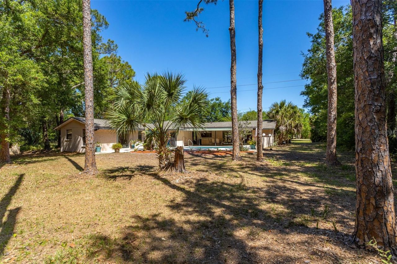 12814 Twin Branch Acres Road , Tampa, FL 33626 Photo