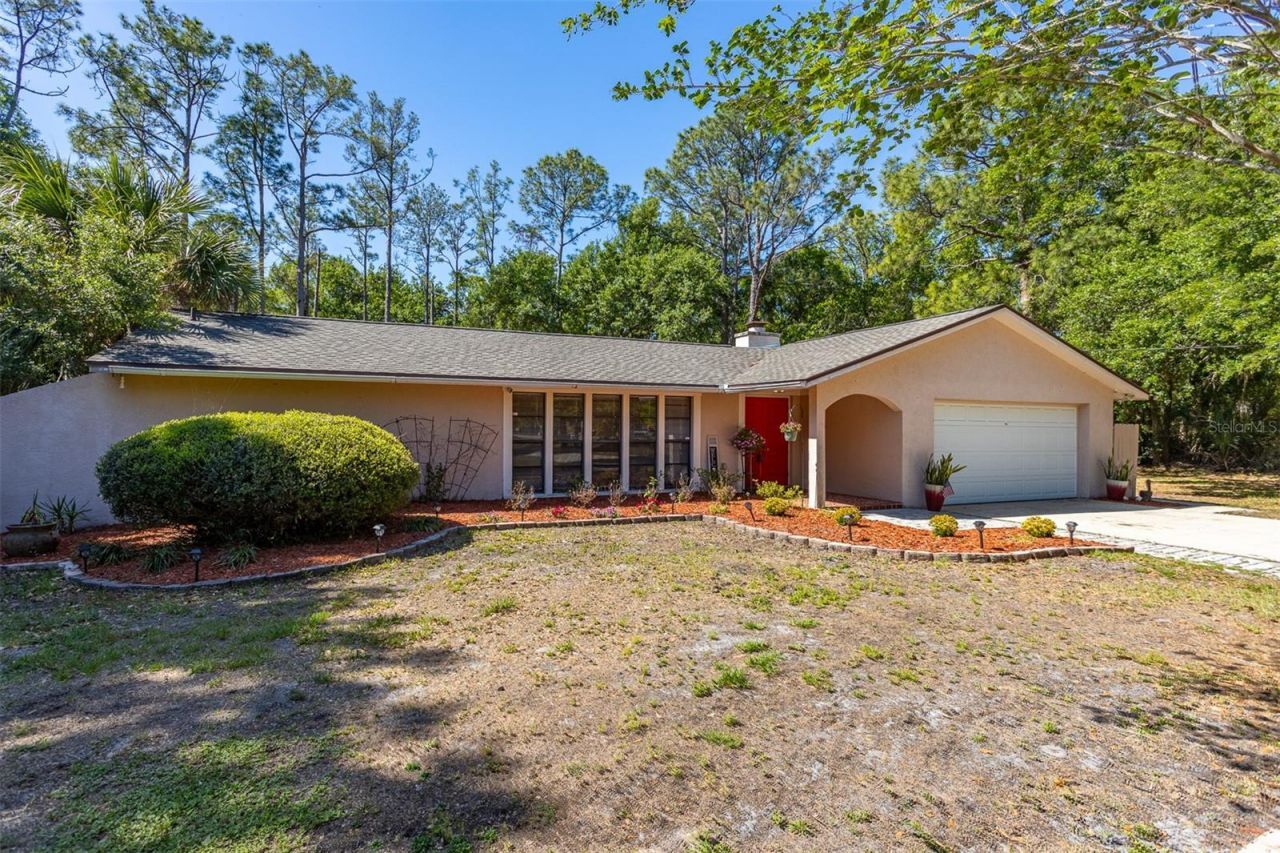 12814 Twin Branch Acres Road , Tampa, FL 33626 Photo