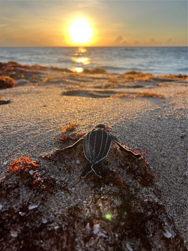 200 Blossom Ln , Palm Beach Shores, FL 33404 Photo