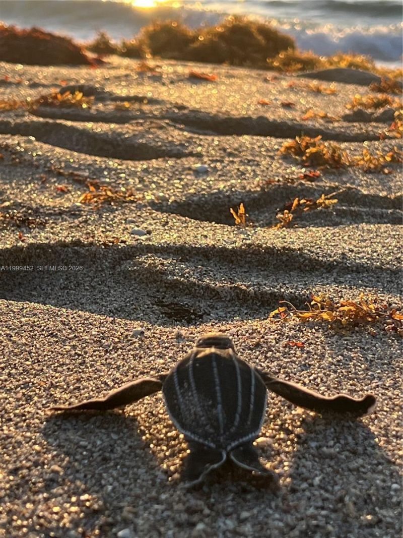 200 Blossom Ln , Palm Beach Shores, FL 33404 Photo