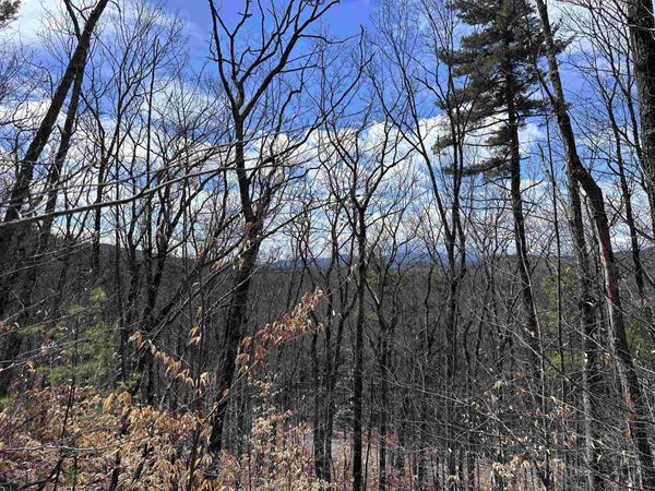 19 Saint Moritz Drive, Madison, NH 03849