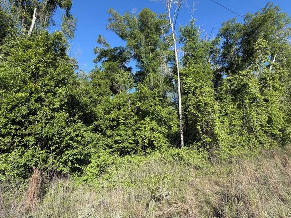 TBD 89TH RD, McAlpin, FL 32062
