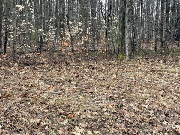 0 N Van Dermullen Road, Lake City, MI 49651