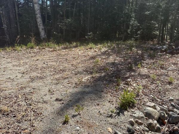 0 Route 1 Route, Gouldsboro, ME 04607