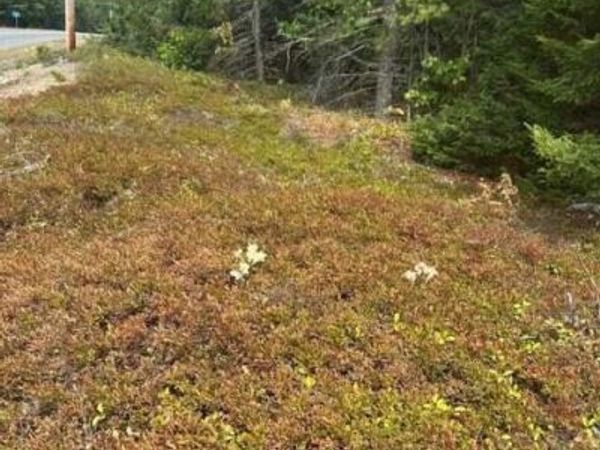 0 Route 1 Route , Gouldsboro, ME 04607