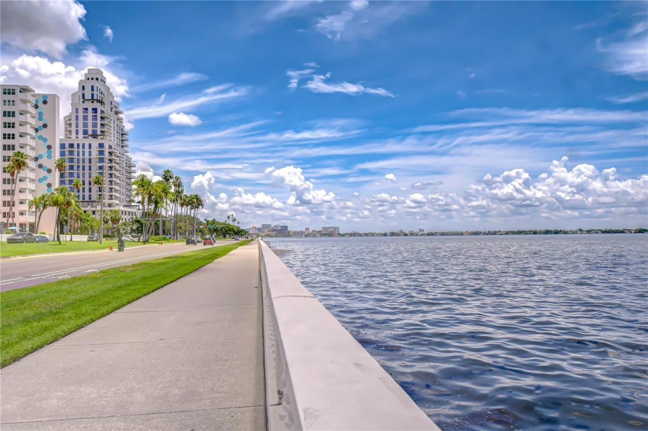 2413 Bayshore Boulevard, Unit 1003, Tampa, FL 33629 Photo