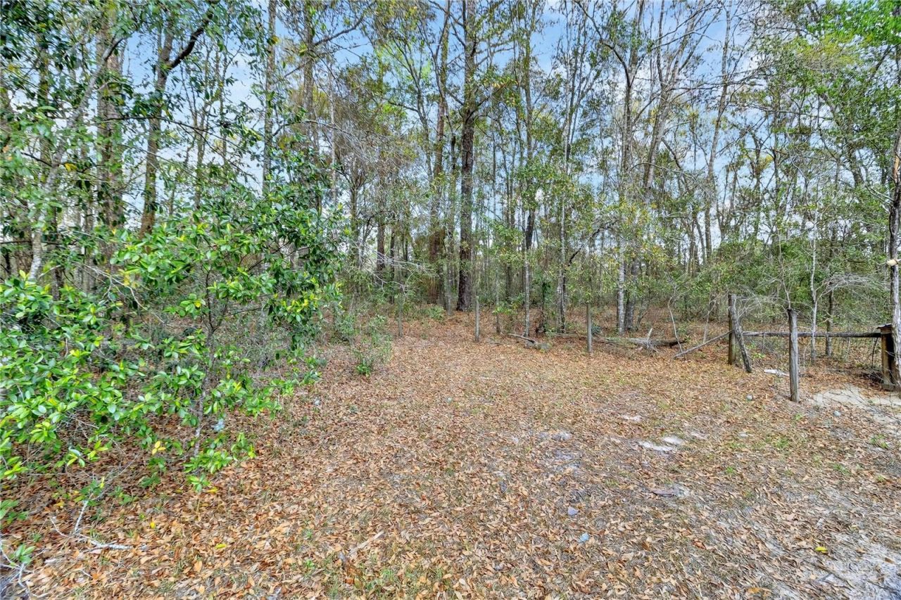 14395 NE 50th Place , Williston, FL 32696 Photo