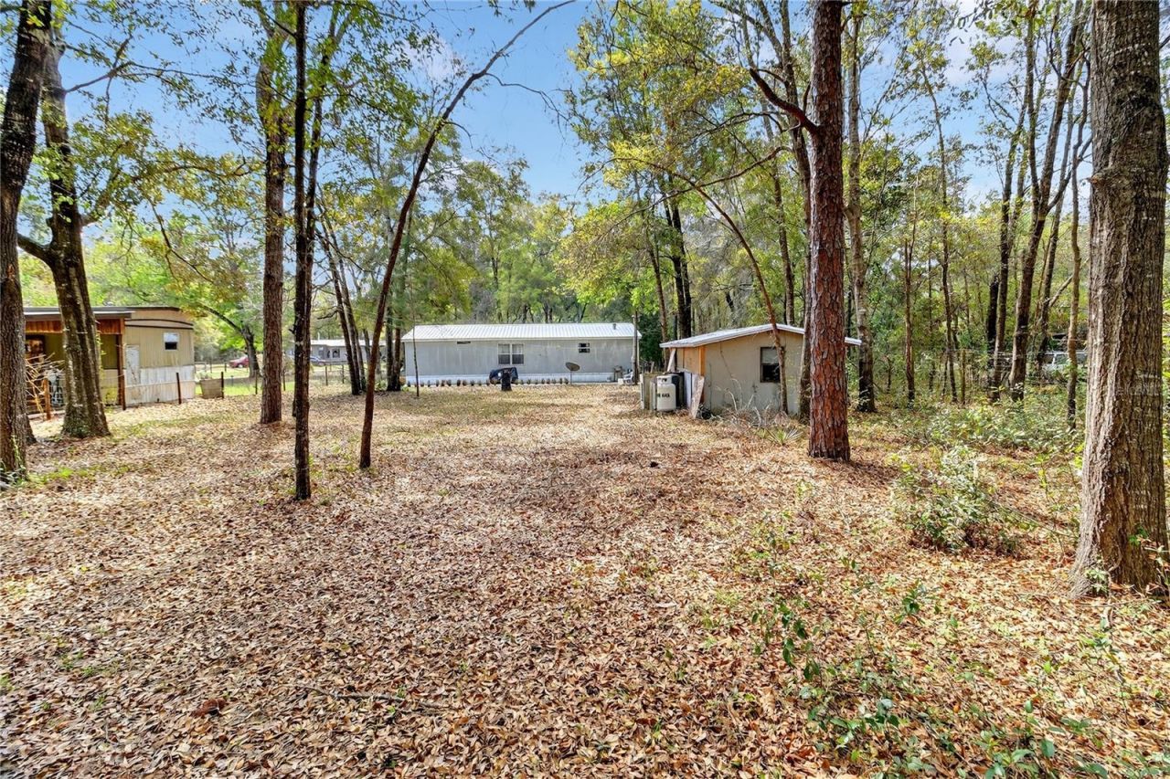 14395 NE 50th Place , Williston, FL 32696 Photo