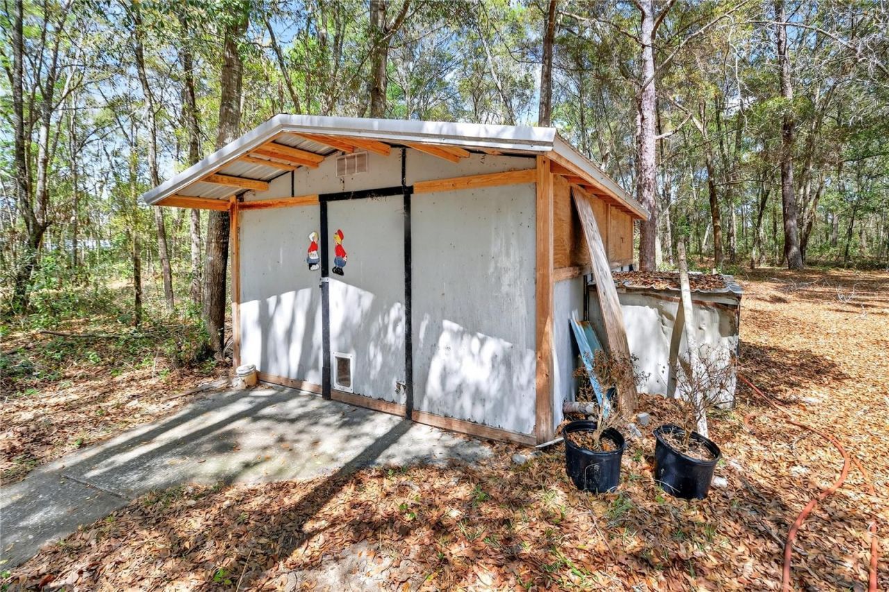 14395 NE 50th Place , Williston, FL 32696 Photo