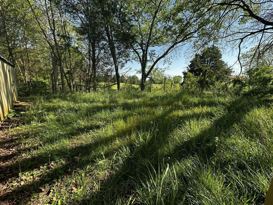 Property Image 38